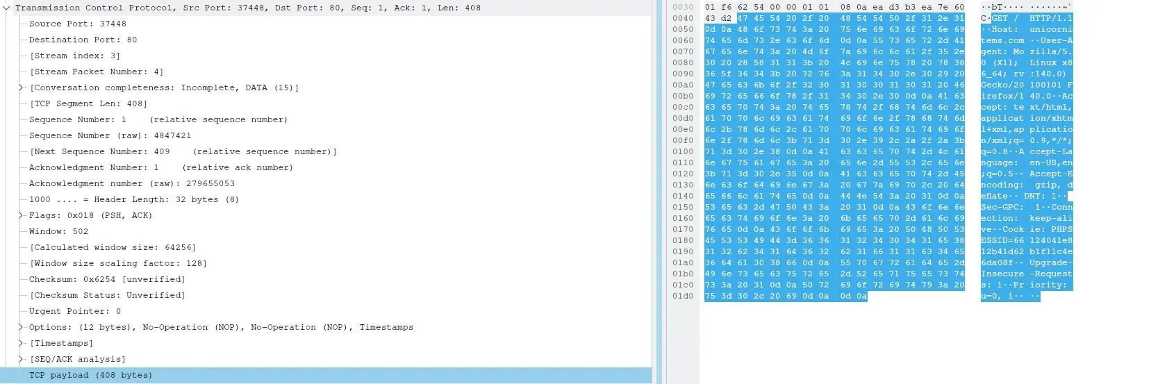 TCP payload (HTTP)